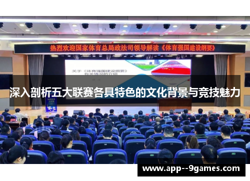 深入剖析五大联赛各具特色的文化背景与竞技魅力
